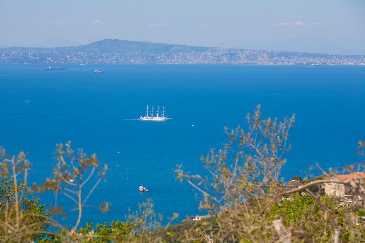 Villa Venus In Penisola Sorrentina 马萨鲁布朗斯 外观 照片