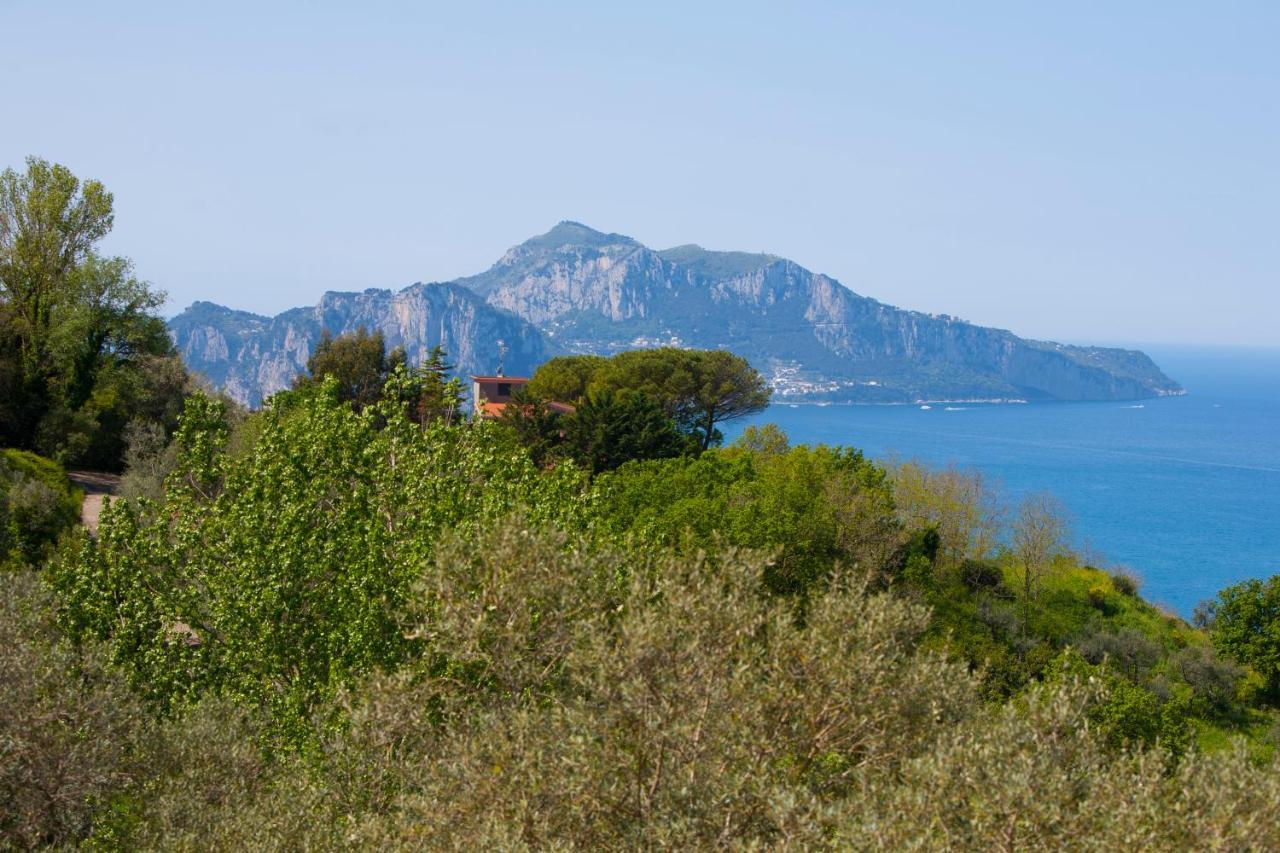 Villa Venus In Penisola Sorrentina 马萨鲁布朗斯 外观 照片