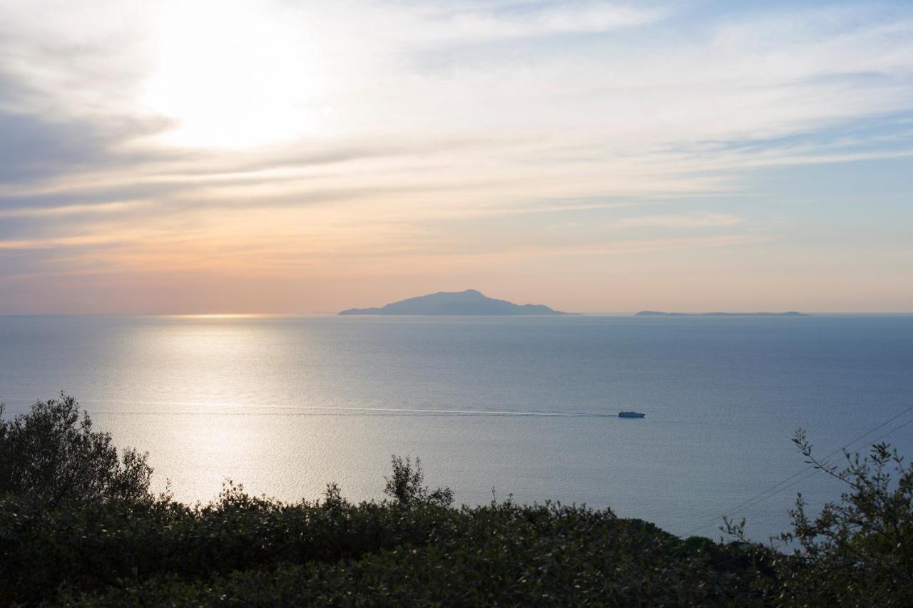 Villa Venus In Penisola Sorrentina 马萨鲁布朗斯 外观 照片