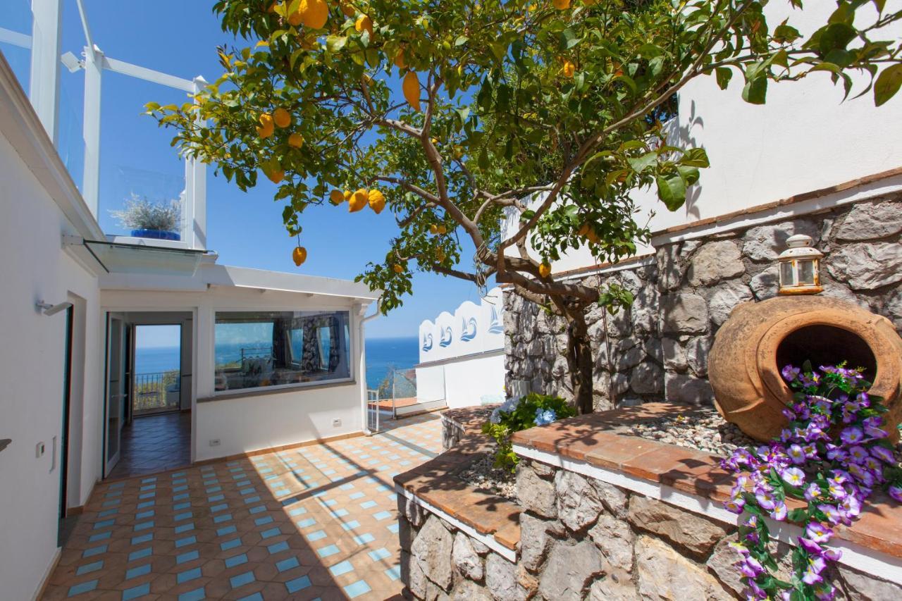 Villa Venus In Penisola Sorrentina 马萨鲁布朗斯 外观 照片