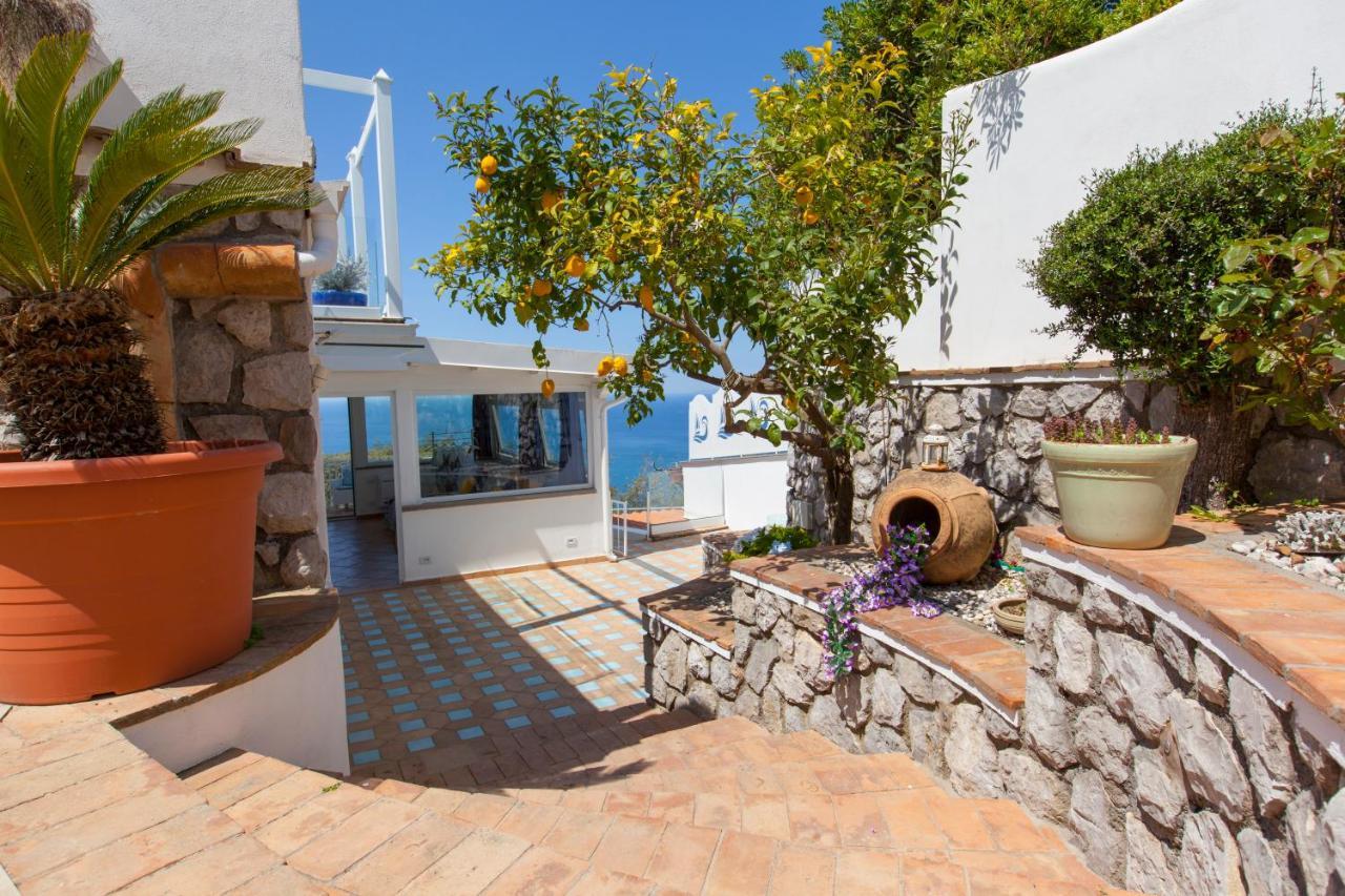 Villa Venus In Penisola Sorrentina 马萨鲁布朗斯 外观 照片