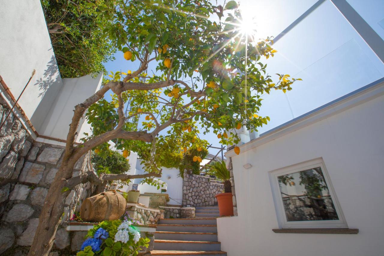 Villa Venus In Penisola Sorrentina 马萨鲁布朗斯 外观 照片