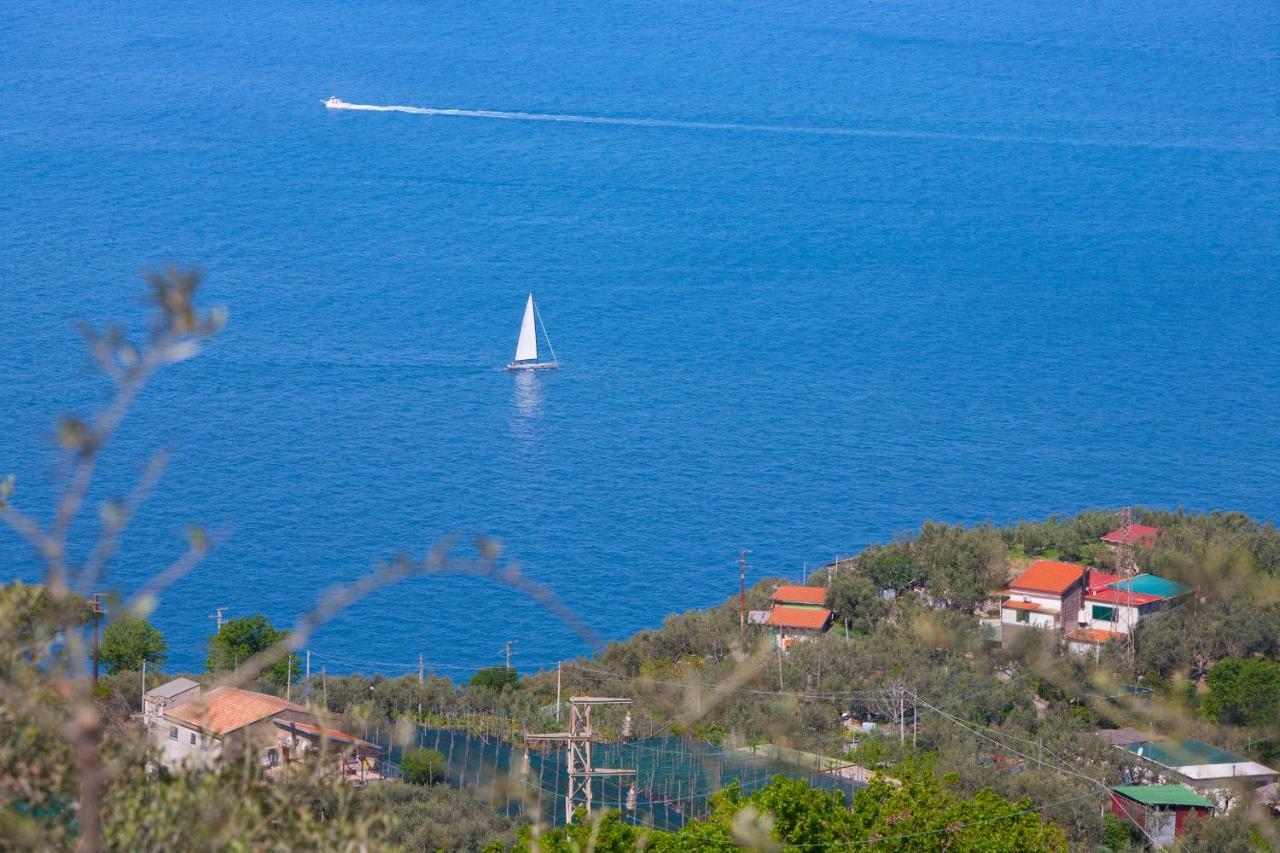 Villa Venus In Penisola Sorrentina 马萨鲁布朗斯 外观 照片