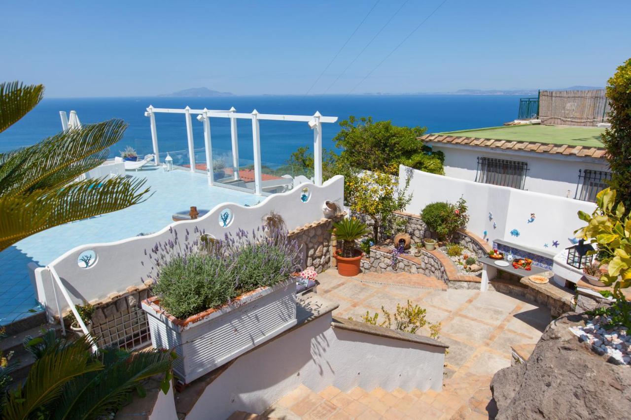 Villa Venus In Penisola Sorrentina 马萨鲁布朗斯 外观 照片